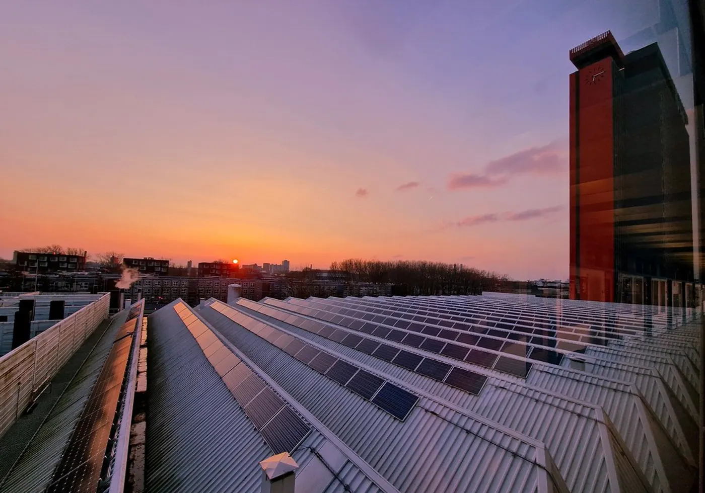 Imatge d'ambient: camp de plaques solars a la posta de sol